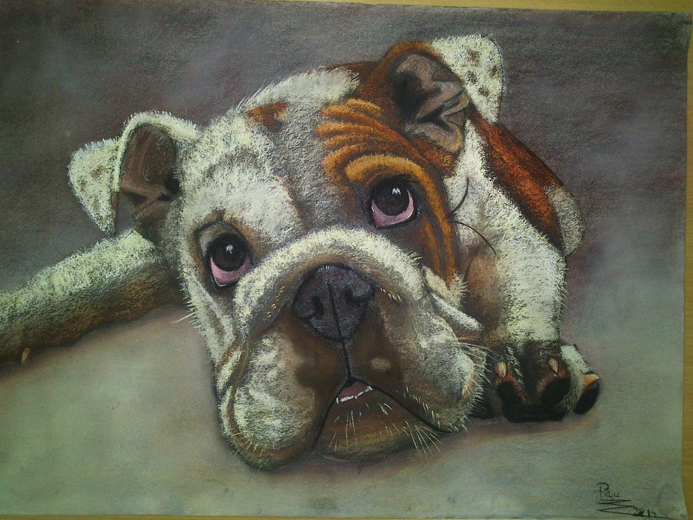 Pintura Bulldog a pastel