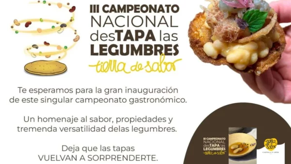 tapas de legumbres tierra de sabor